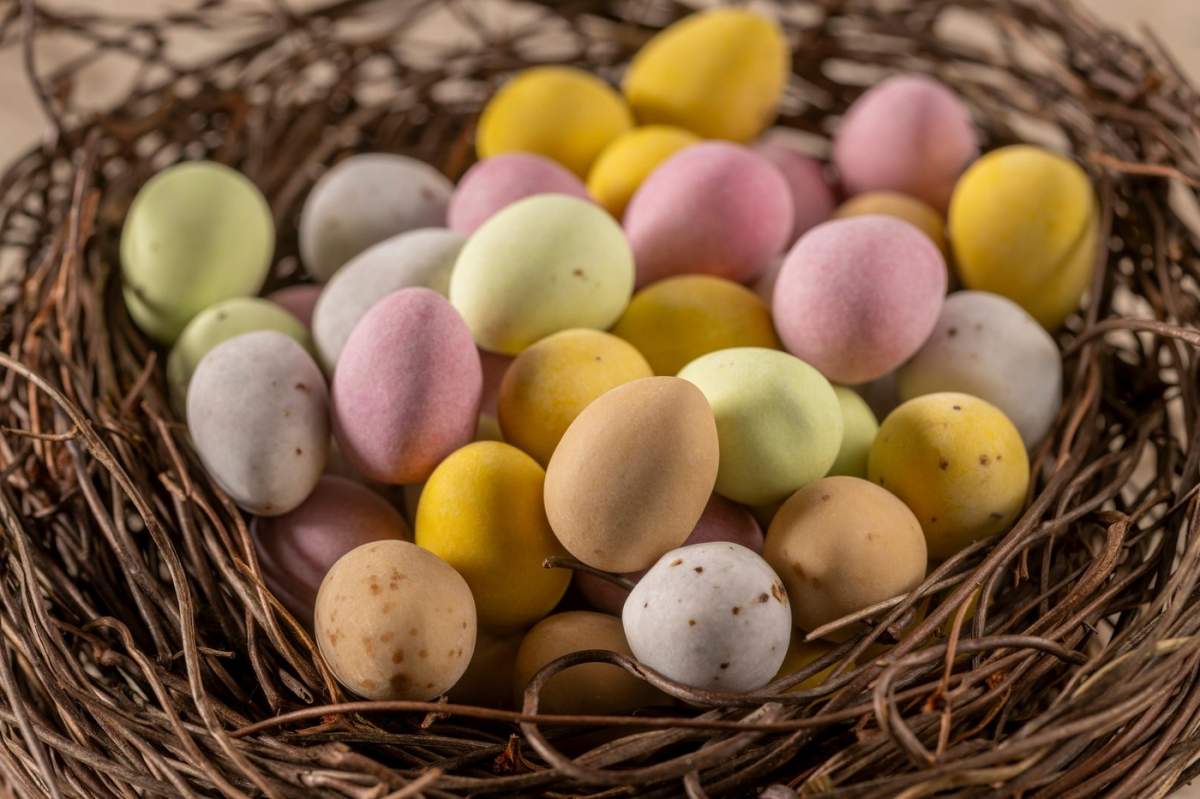 Prim-plan de mini ouă de ciocolată colorate, acoperite cu zahăr, aranjate într-un cuib de pasăre fals
