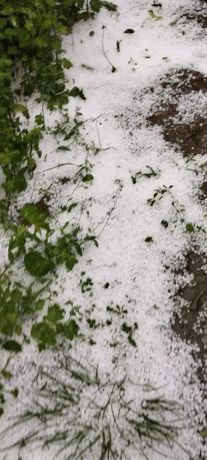 Vremea rea și fenomenele extreme au făcut prăpăd în România! Mai multe străzi au fost inundate, dar și unele case distruse: ”În 42 de ani, e prima oară când văd așa ceva...” / VIDEO