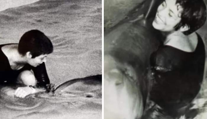 Colaj cu Margaret Howe Lovatt și delfinul