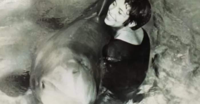 Margaret Howe Lovatt și delfinul