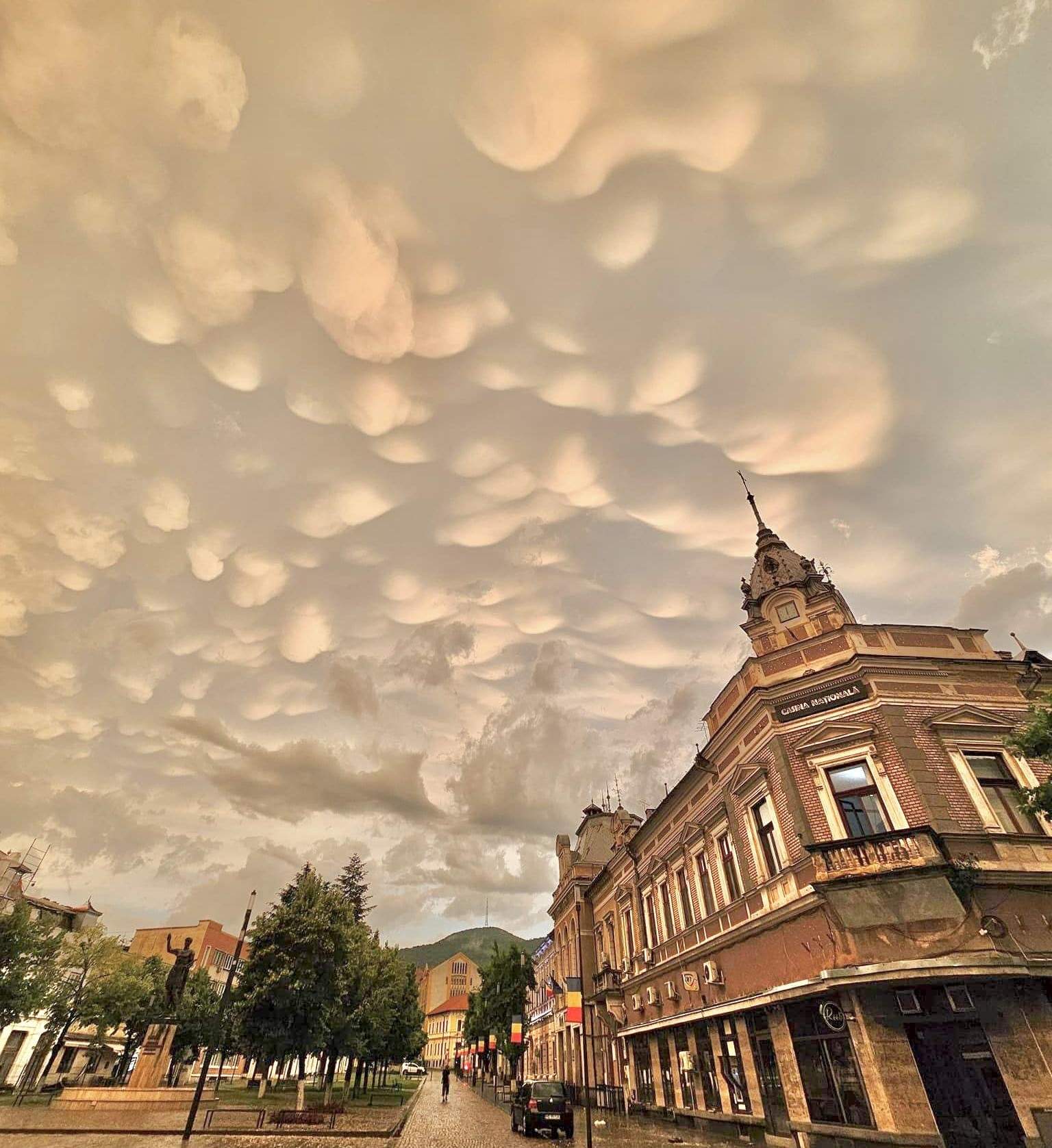 norii mammatus