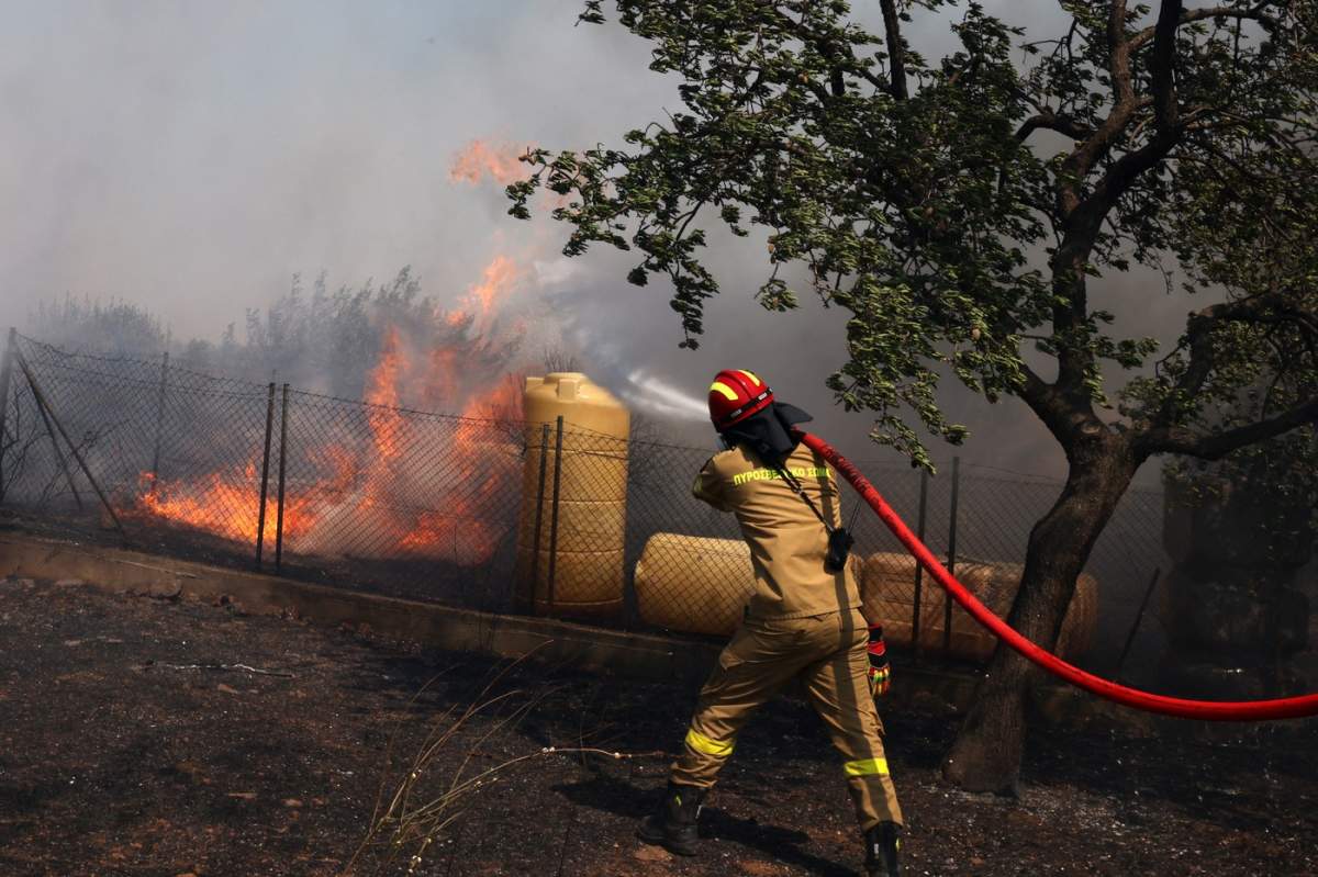 KOROPI, GRECIA - 19 IUNIE: Pompierii sting un incendiu de vegetație, în Kitsi, în apropiere de orașul Koropi, Grecia, la 19 iunie 2024