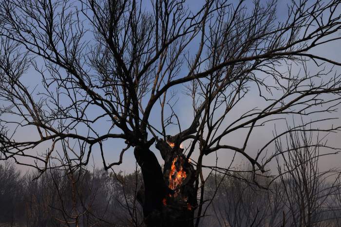 Un incendiu a izbucnit în localitatea Koropi din Grecia