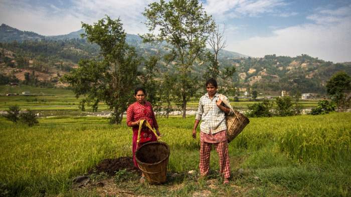 Țara cu cel mai mic IQ, Nepal