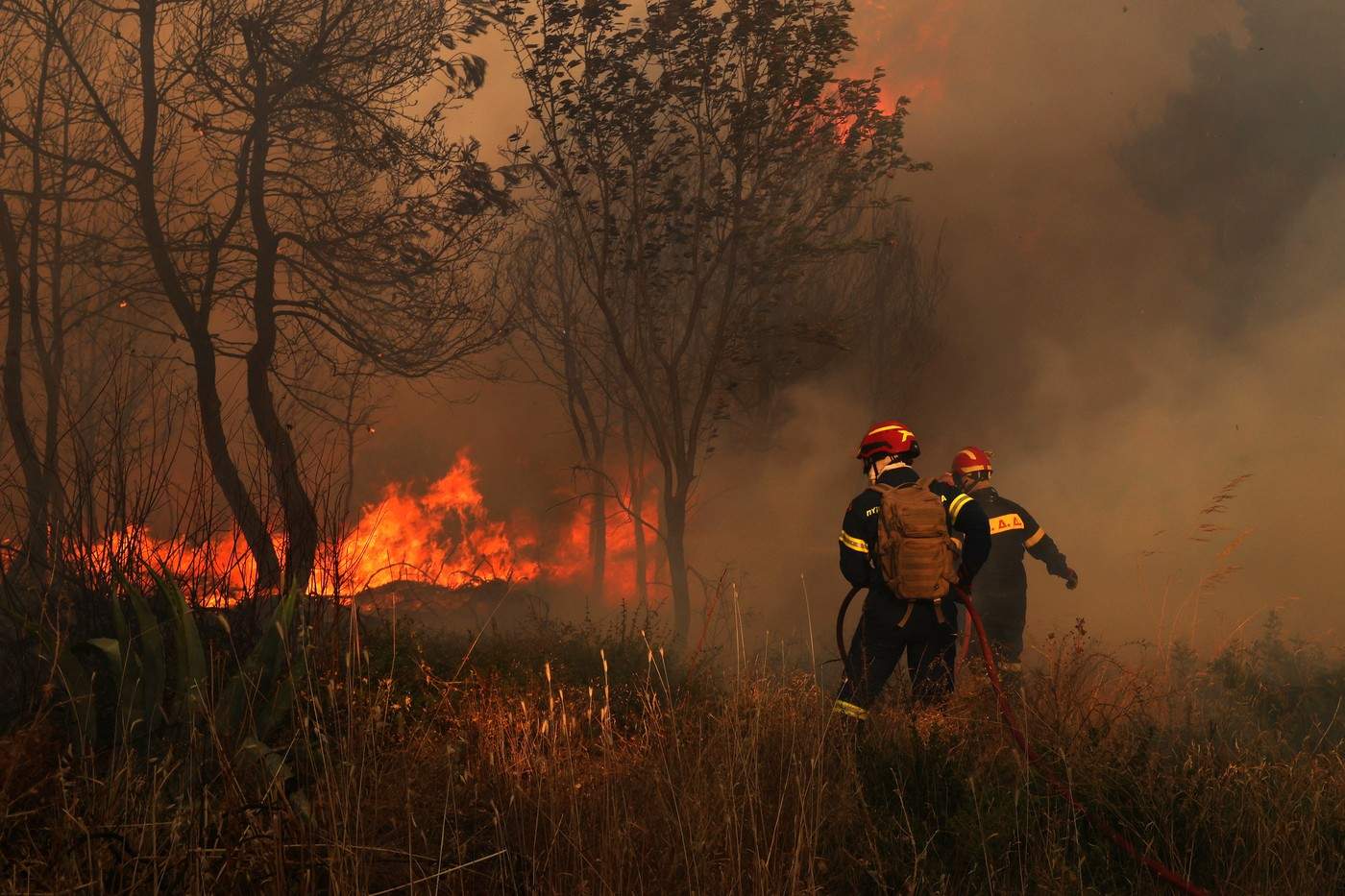 incendiu grecia