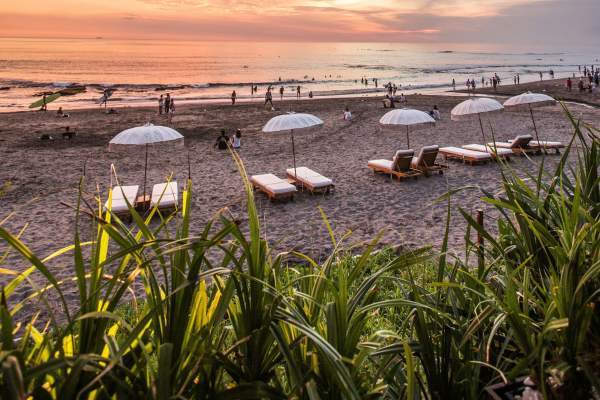 Au fost găsite frigărui din carne de câine într-o destinație turistică frecventată de o mulțime de români. Autoritățile au luat măsuri de urgență