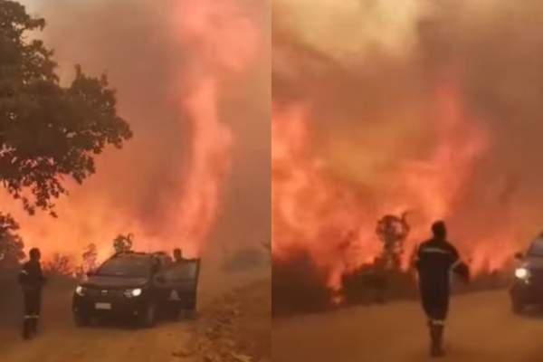 Incendii puternice in zonele des frecventate de români! Pompierii nu mai contenesc să stingă flăcările. Imagini înspăimântătoare | VIDEO