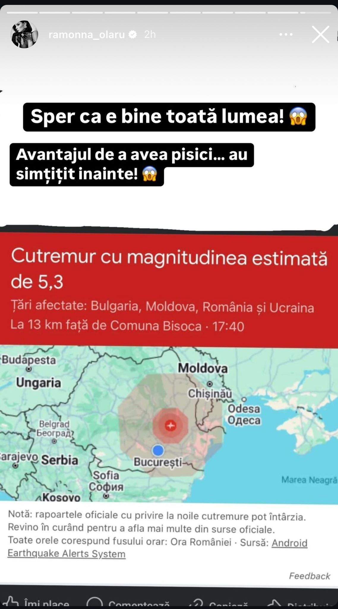 Pisicile Ramonei Olaru au presimțit cutremurul de 5,2 din zona Vrancea. A fost cel mai mare seism din acest an