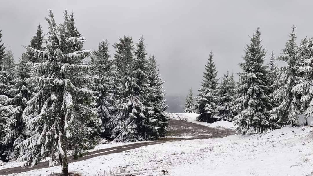 A venit iarna în România! Imagini cu stratul de zăpadă care s-a depus deja în mai multe zone / GALERIE FOTO