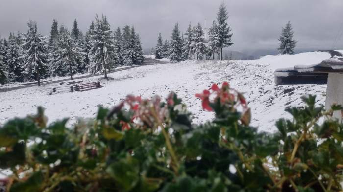 A venit iarna în România! Imagini cu stratul de zăpadă care s-a depus deja în mai multe zone / GALERIE FOTO