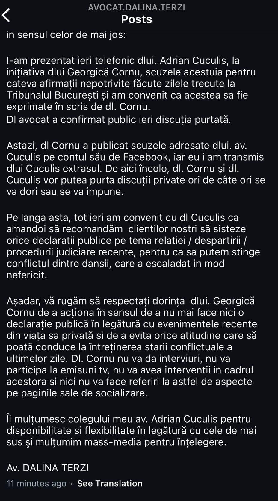 Ce se întâmplă între Marina Almășan și Georgică Cornu. Ce au discutat avocații celor doi în particular