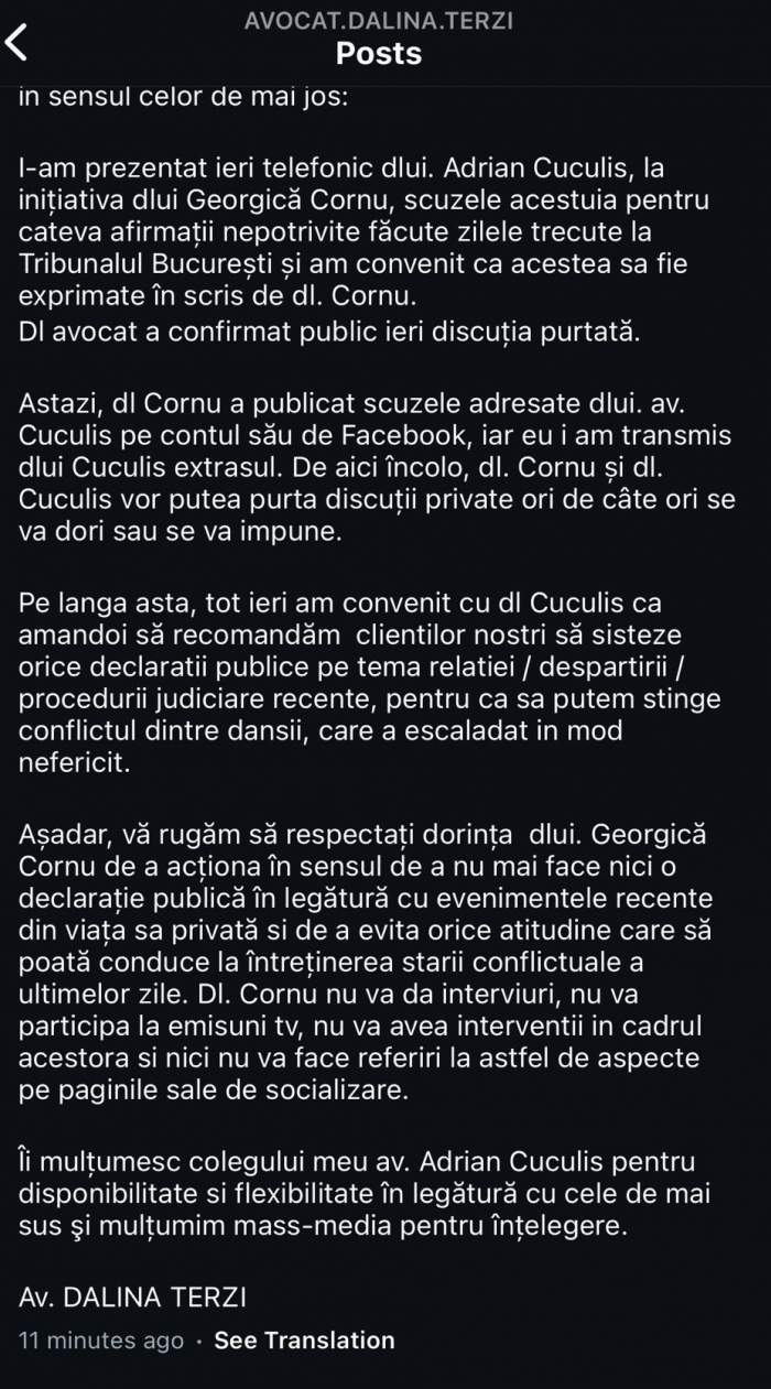 Ce se întâmplă între Marina Almășan și Georgică Cornu. Ce au discutat avocații celor doi în particular