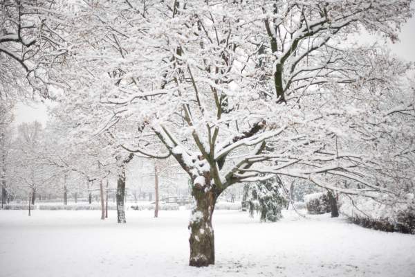 Unde scad temperaturile până la -20 de grade Celsius în România, mâine! Un val de frig acoperă toată țara