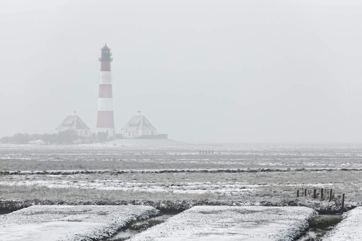 Avertizare meteo! ceata