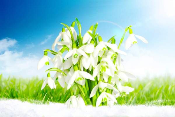 Temperaturi de primăvară în România. Cum arată prognoza meteo emisă de meteorologi pentru următoarele patru săptămâni