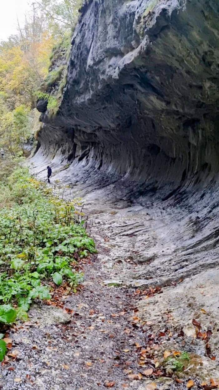 Locul din România unde tot mai mulți turiști aleg să vină în vacanță. Satul are doar 40 de locuitori, dar ascunde adevărate comori pitoreşti