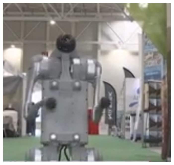 Fermele din România se mândresc cu tehnologii noi! Câinele robot alungă animalele sălbatice din zonă