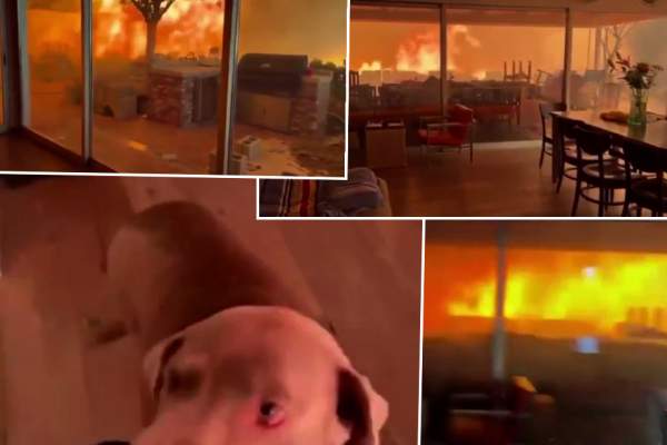 Imaginile groazei! Un bărbat și câinele lui au fost prinsi în casa din Los Angeles, iar flăcările i-au înconjurat! / VIDEO