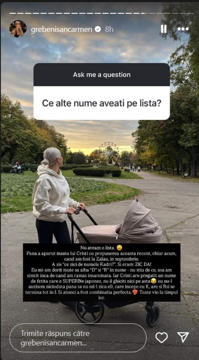 carmen grebenisan si fiul