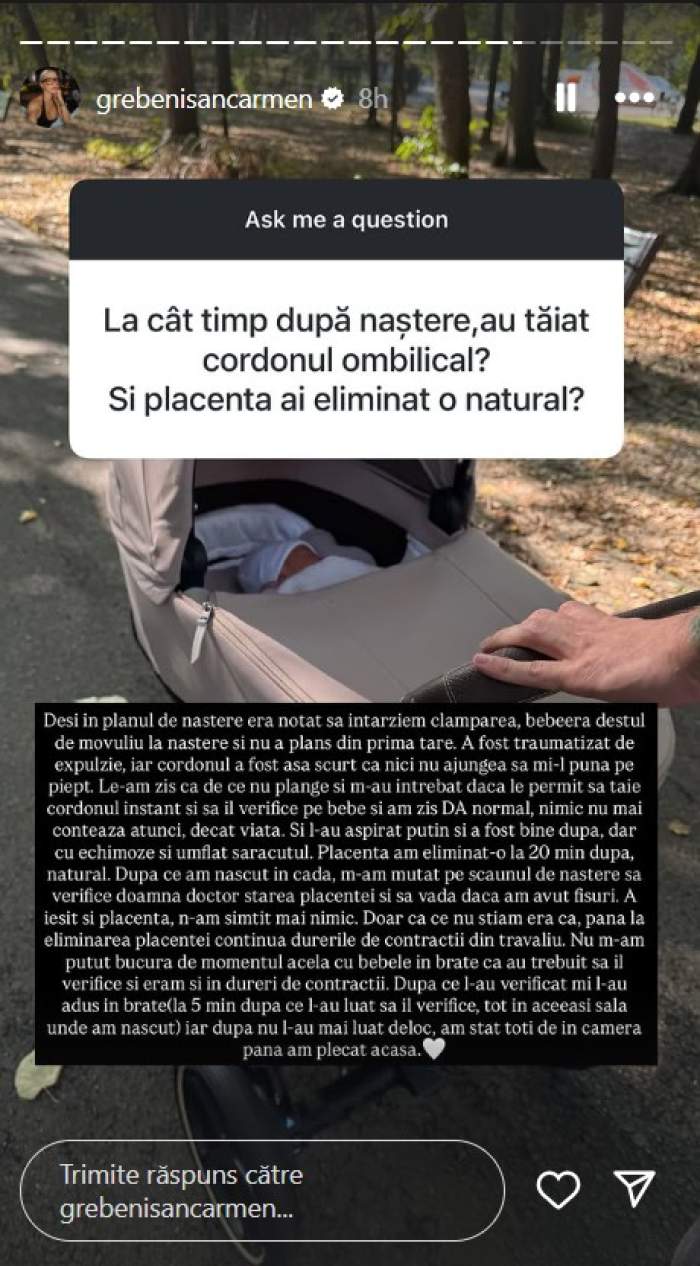 carmen grebenisan si fiul