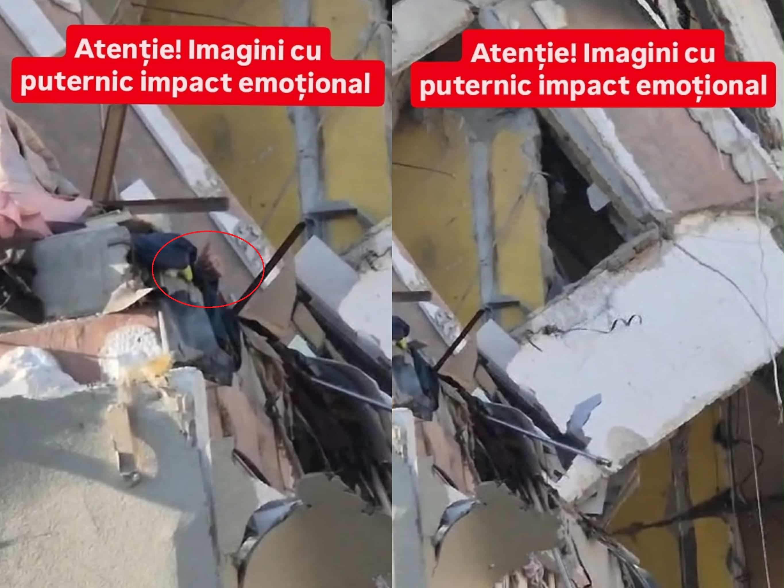 blocul explodat în Rahova