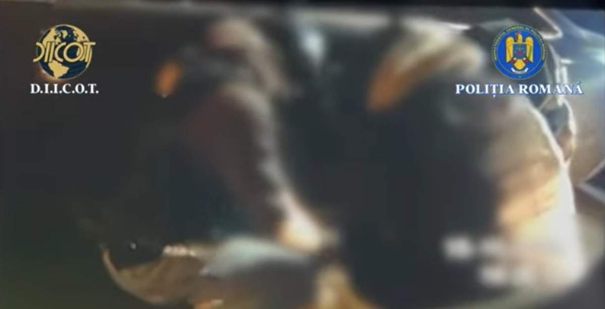 Cine sunt cei doi bărbați bănuiți că pregăteau acțiuni de sabotaj pentru Rusia, în România. Indivizii au fost capturați | VIDEO