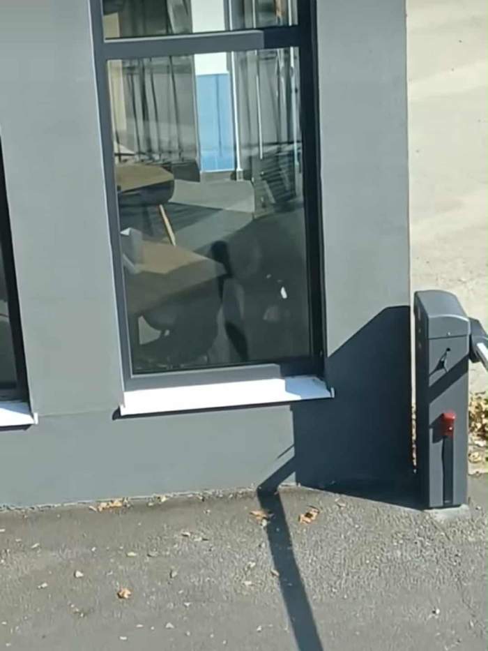Scene desprinse din junglă! Un individ și-a bătut cu bestialitate propriul cățel, într-un restaurant din București