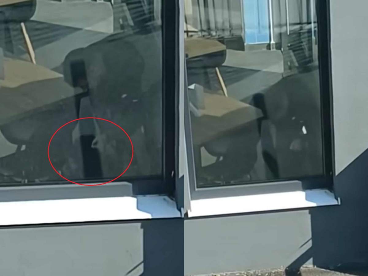 un bărbat care își bate câinele