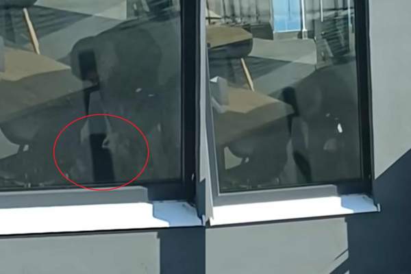 Scene desprinse din junglă! Un individ și-a bătut cu bestialitate propriul cățel, într-un restaurant din București