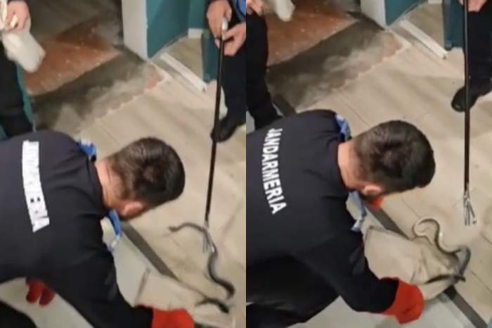 Imagini șocante în centrul Bucureștiului! Un piton a evadat aproape de Catedrala Neamului