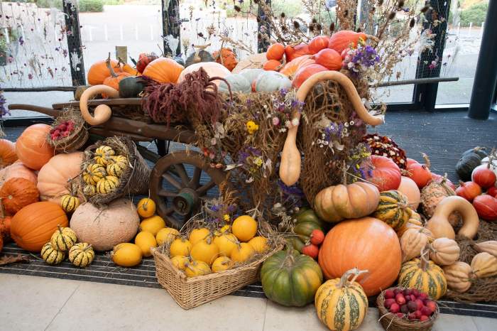 Halloween 2025: Idei de costume, decorațiuni și cum să organizezi o astfel de petrecere acasă
