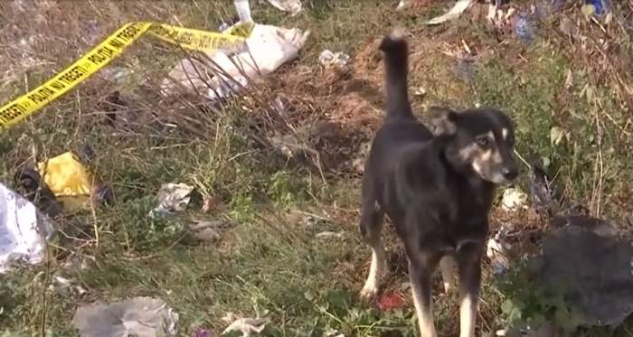 Mărășești, Vrancea