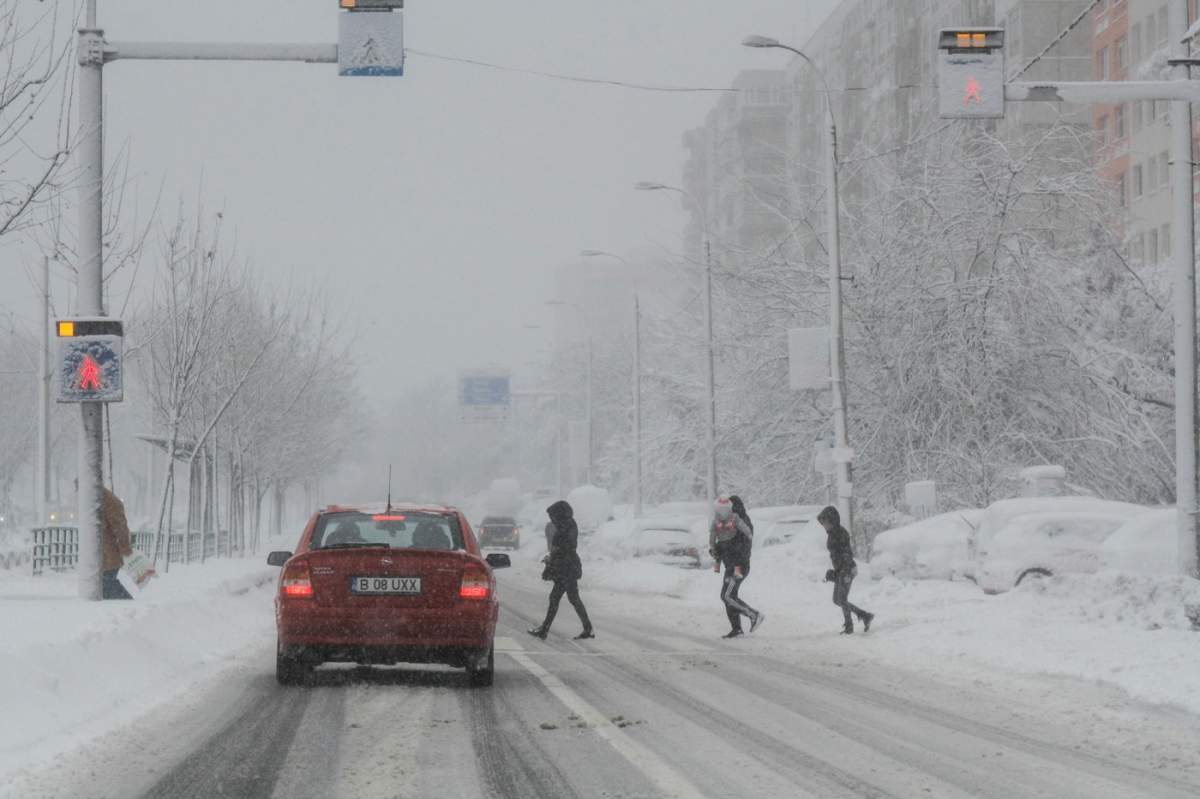 cod galben de ninsori în România