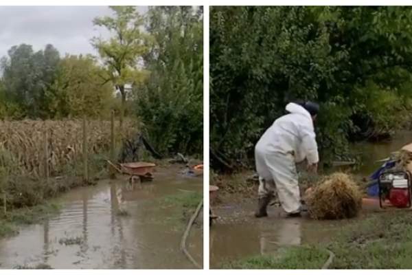 Imaginile dezastrului într-o comună din Constanța, afectată de ploile din ultimele zile. Mai multe case au fost inundate, iar mașinile distruse