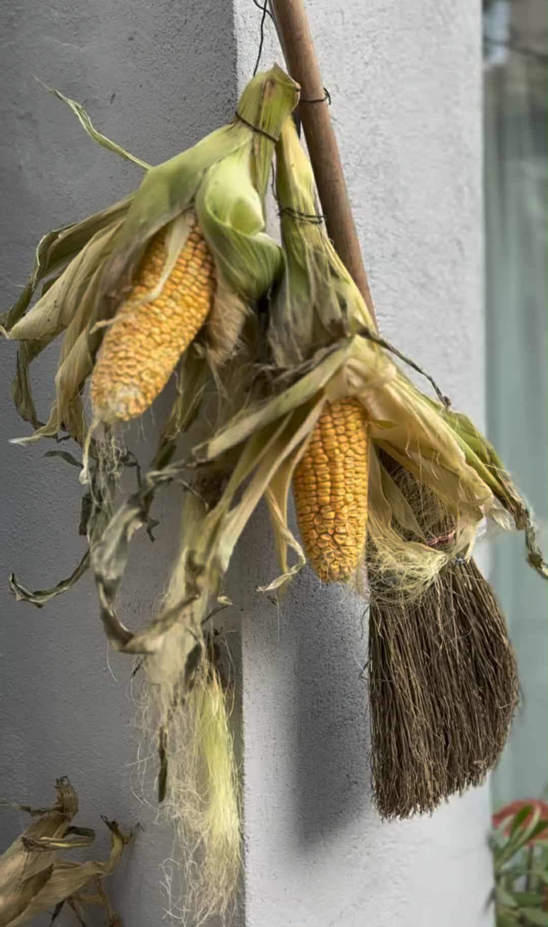 Ce surpriză le-a pregătit Laura Cosoi fetițelor sale, după ce s-au întors acasă! Fiicele vedetei au fost uimite