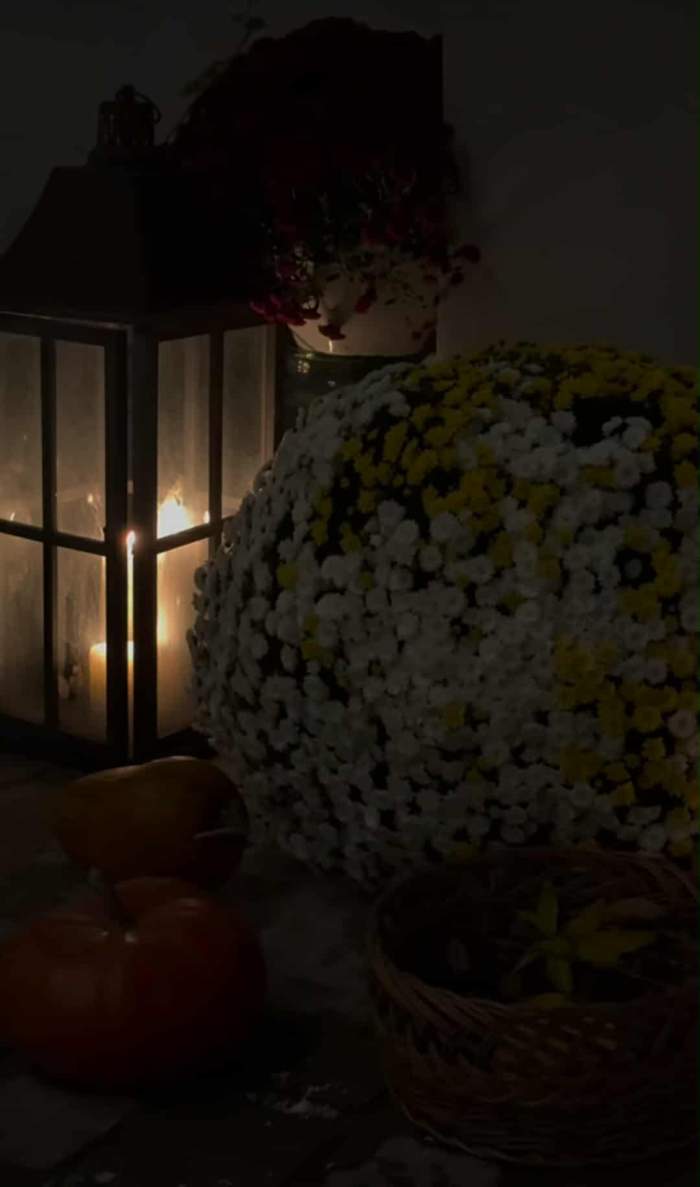 Ce surpriză le-a pregătit Laura Cosoi fetițelor sale, după ce s-au întors acasă! Fiicele vedetei au fost uimite