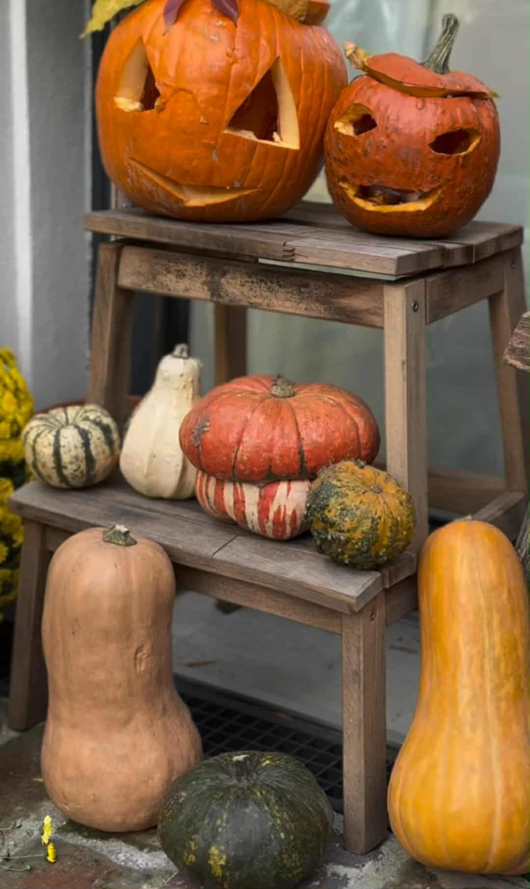 Ce surpriză le-a pregătit Laura Cosoi fetițelor sale, după ce s-au întors acasă! Fiicele vedetei au fost uimite