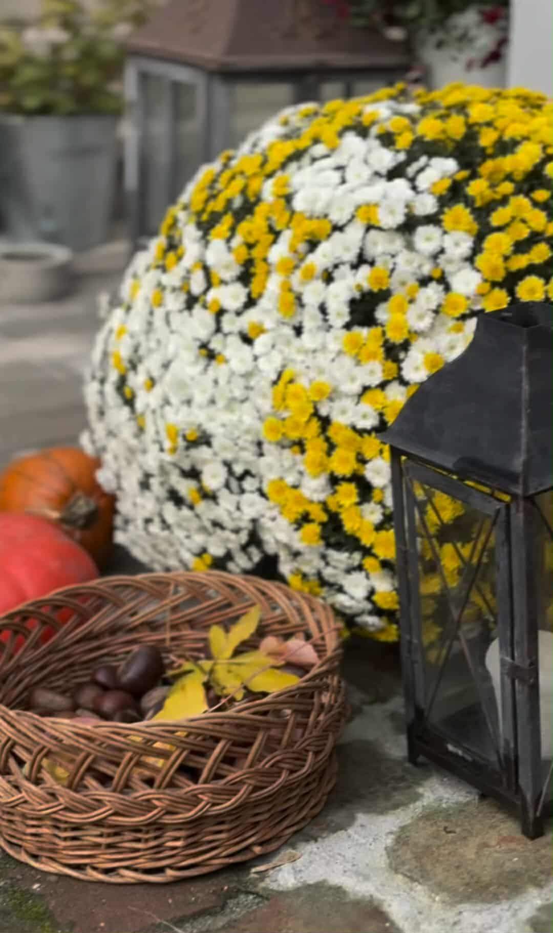 Ce surpriză le-a pregătit Laura Cosoi fetițelor sale, după ce s-au întors acasă! Fiicele vedetei au fost uimite