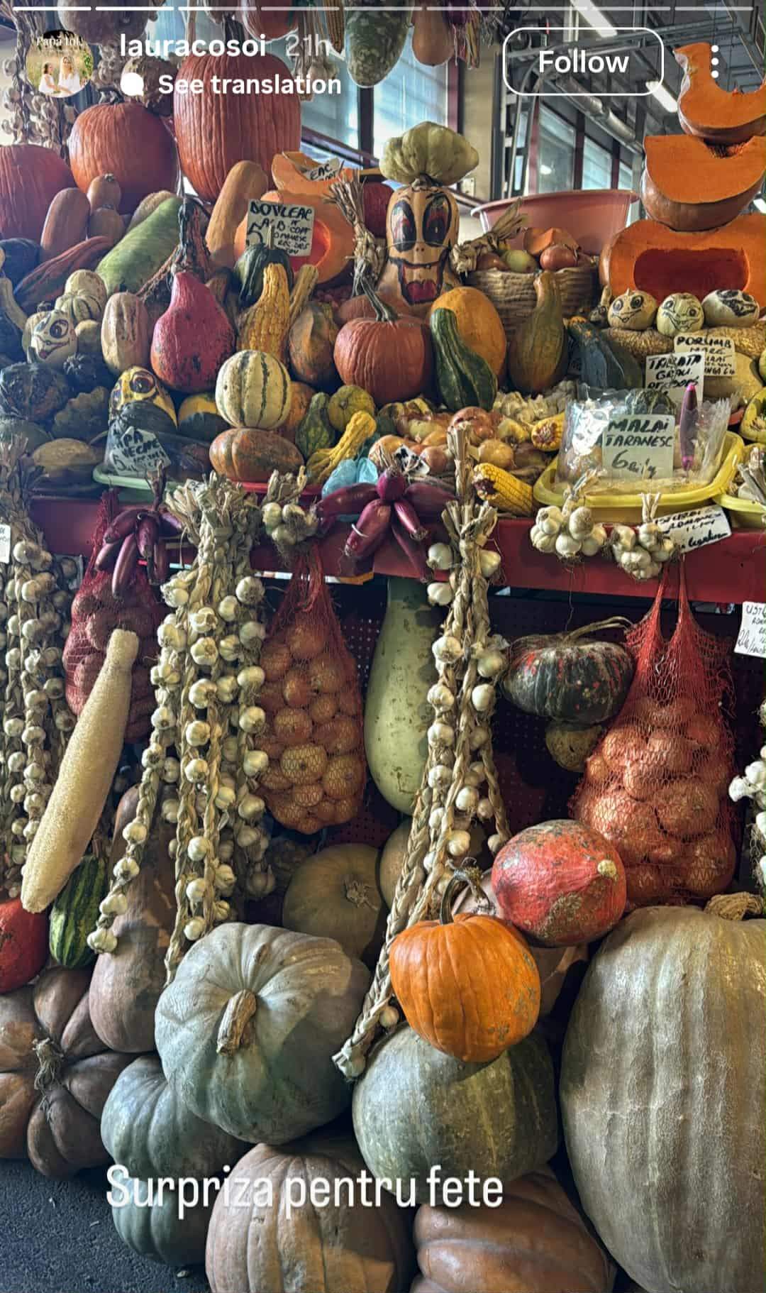 Ce surpriză le-a pregătit Laura Cosoi fetițelor sale, după ce s-au întors acasă! Fiicele vedetei au fost uimite