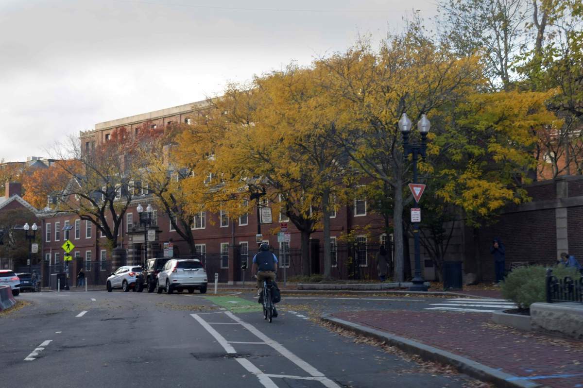 universitate harvard