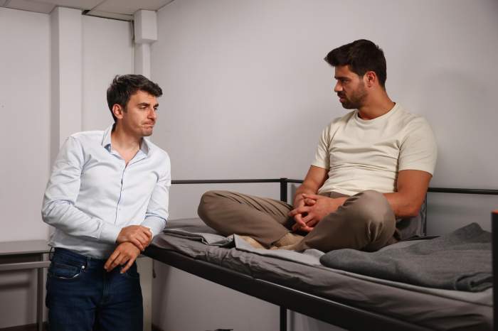 alexadnru ion si stefan floroaica