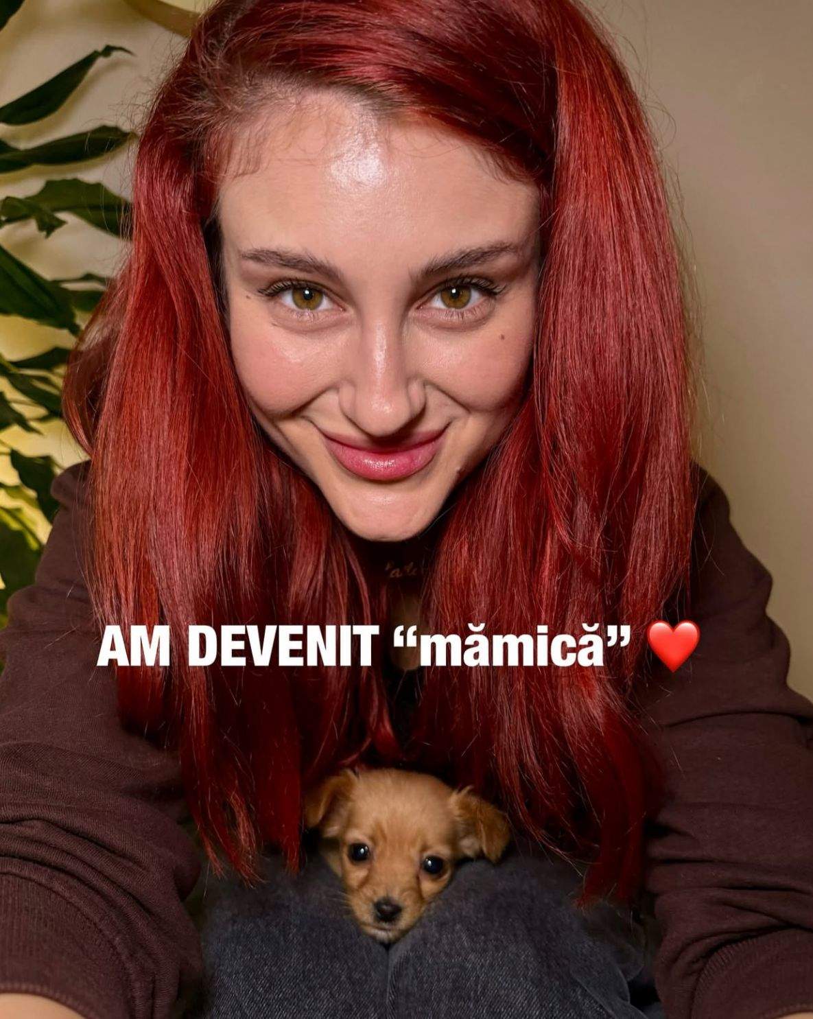 Laila Abdel Hafiz de la Te cunosc de undeva a transmis vestea momentului: "Am devenit mămică"