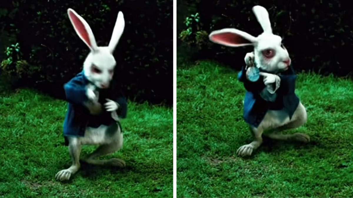 "The white rabbit", trendul care face înconjurul Internetului. Ce semnificație are, de fapt