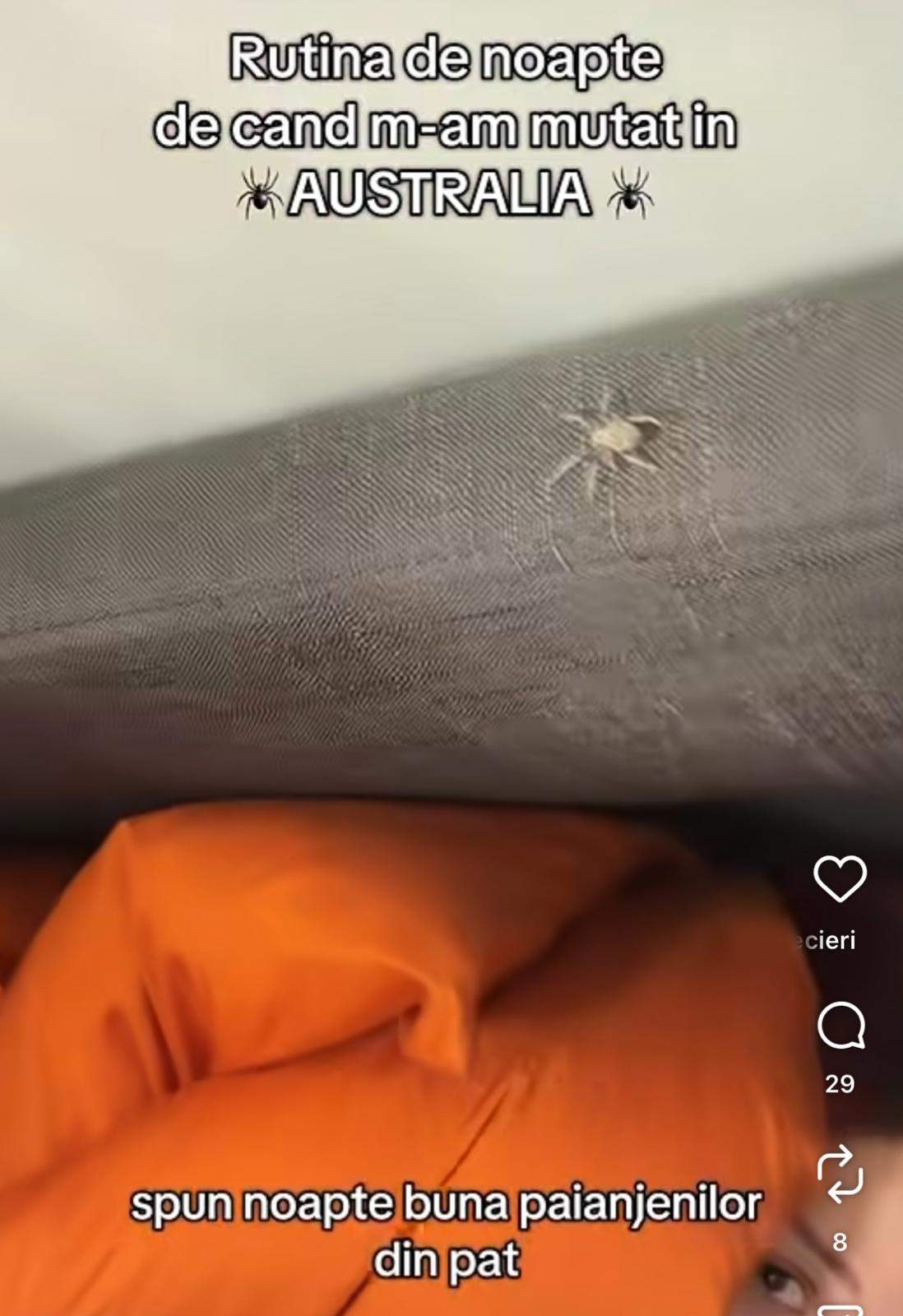 "Animalul de companie" cu care Marilu Dobrescu doarme în fiecare noapte. Mulți nu ar rezista cu așa ceva în pat