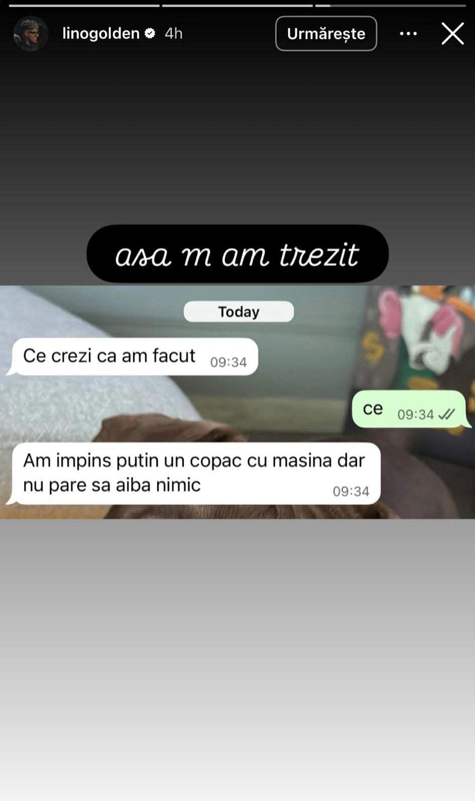 Conversația dintre Lino Golden și iubita sa