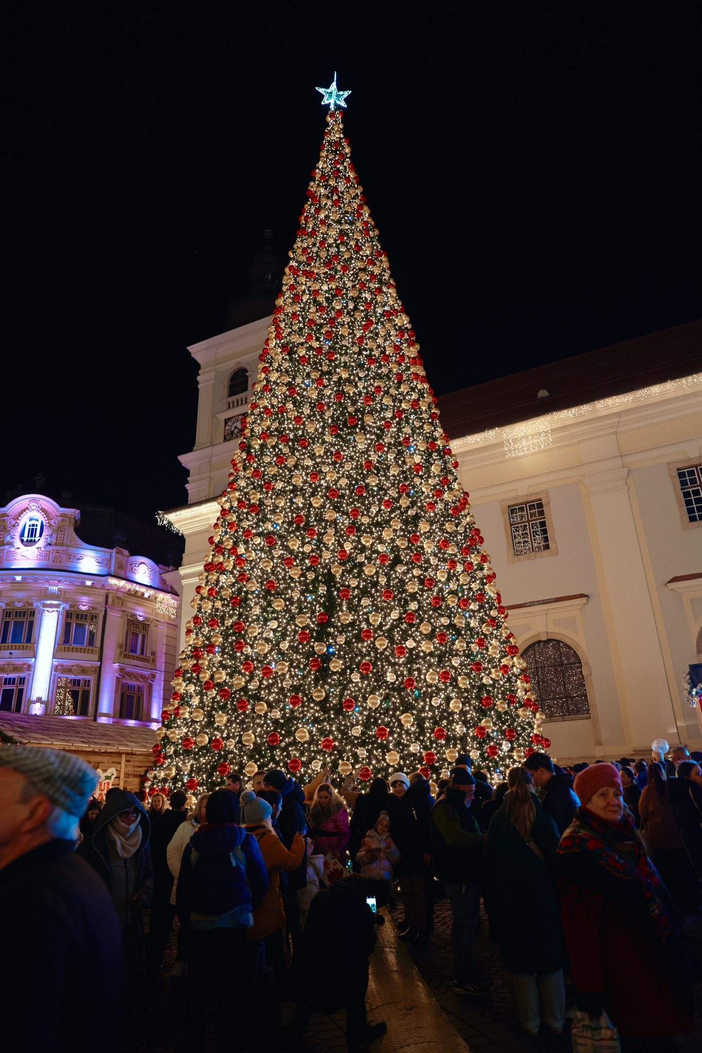 Bradul de la Târgul de Crăciun din Sibiu