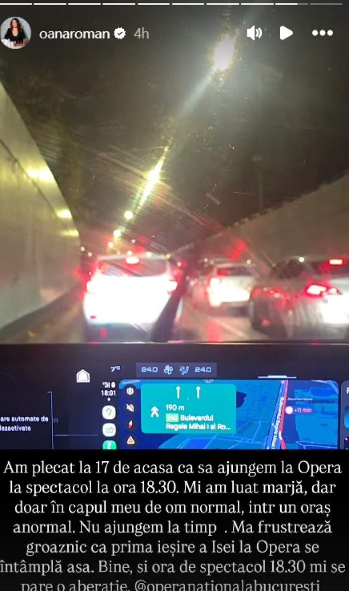 Oana Roman a postat la story ce i s-a întâmplat