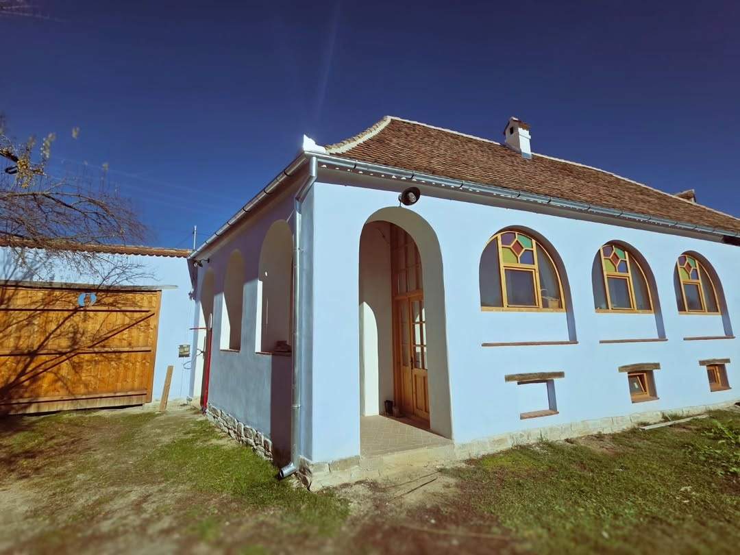 dana rogoz casa