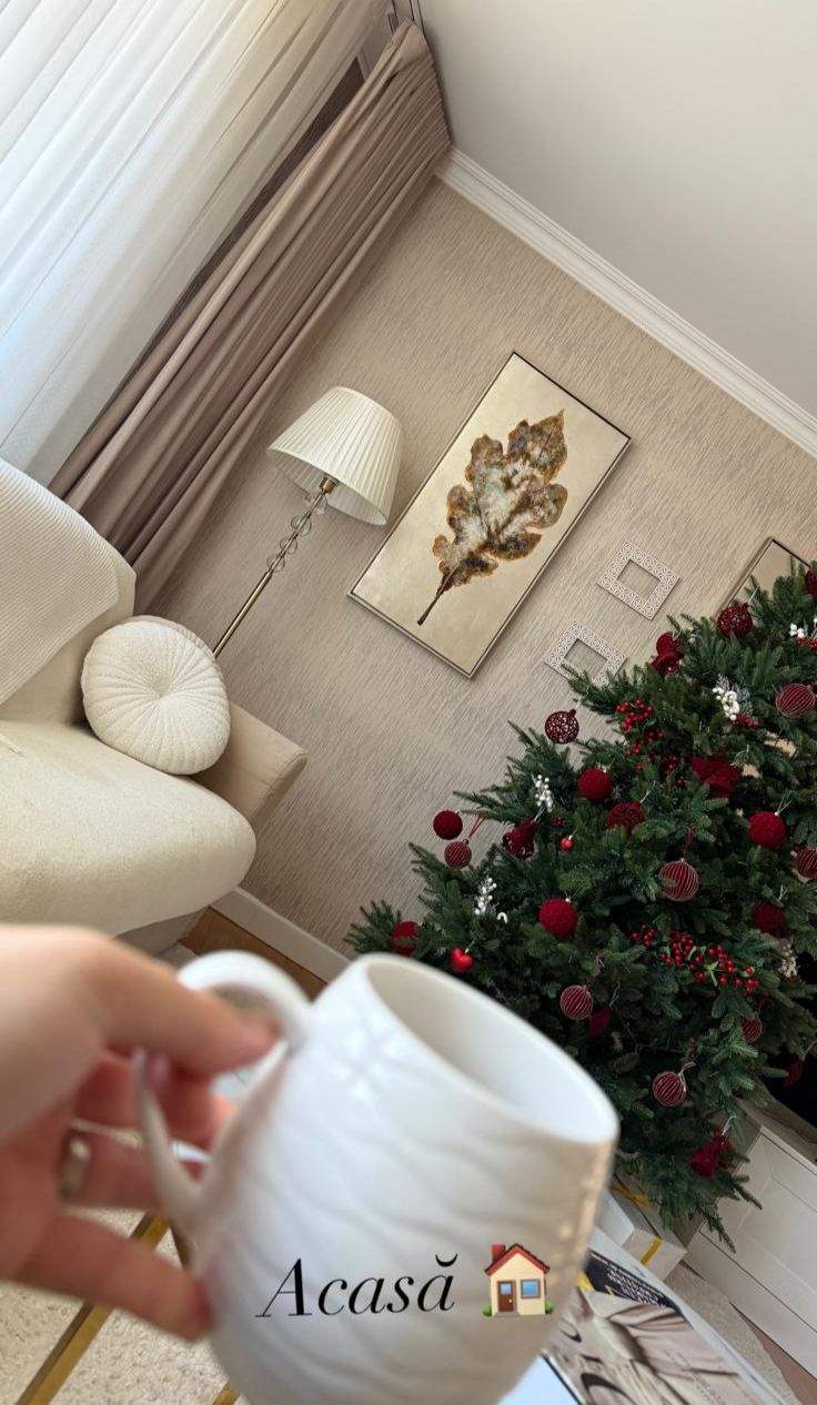 Bradul lui Carmen de la Sălciua