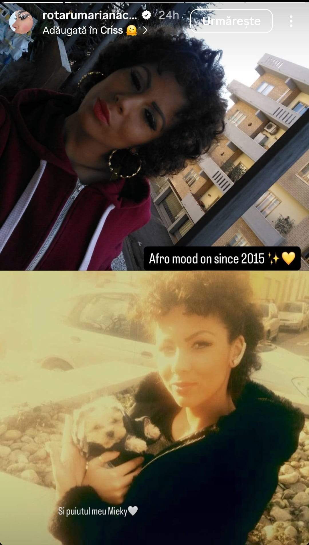 cristina insula iubirii